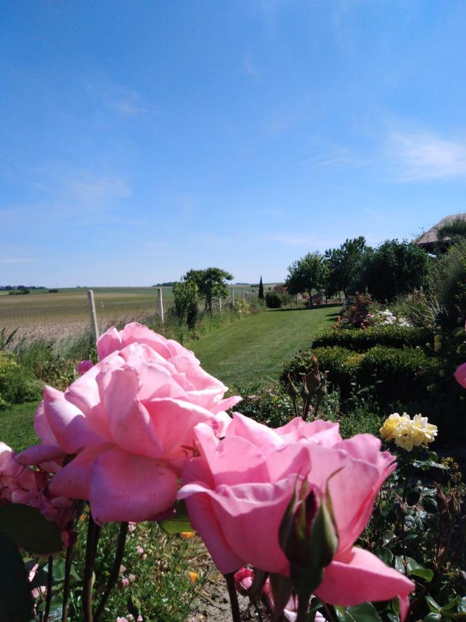 A L Epoque Bed & Breakfast Bouges  Exterior foto